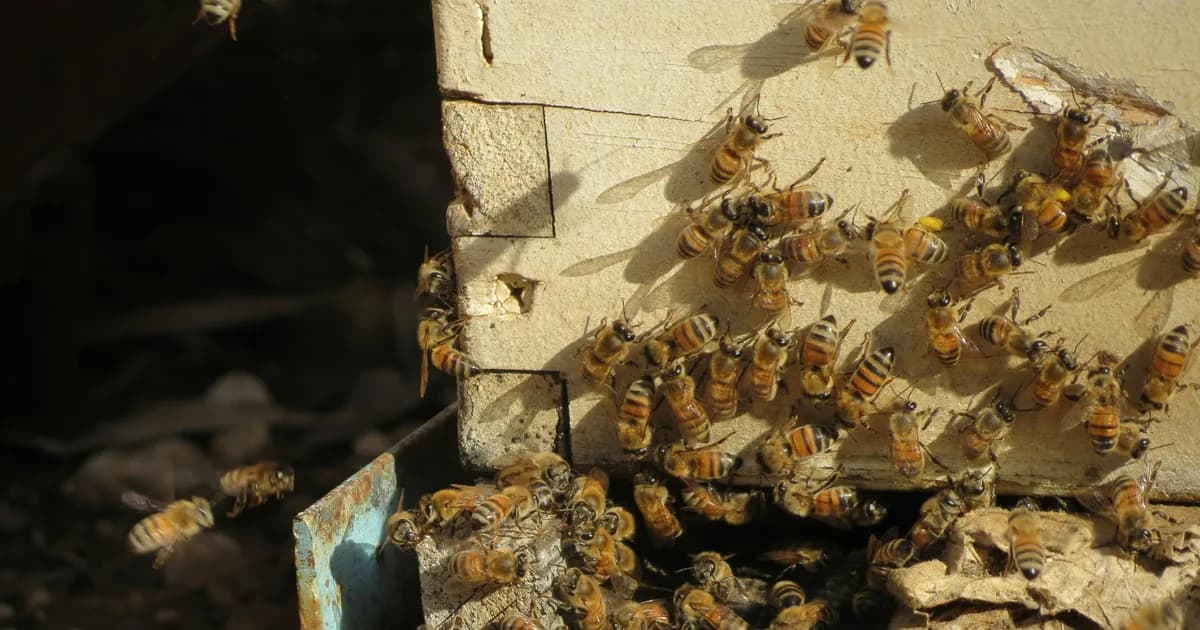 Solar Subsidy Status Check (2026): Meaning of Each Status + What to Do